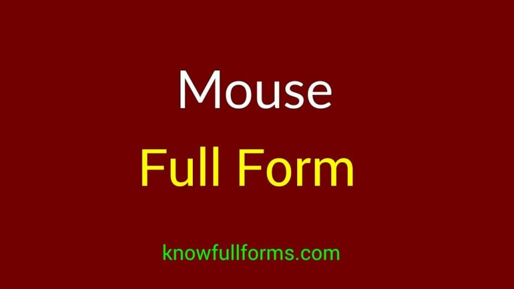 Mouse full form in hindi क्या होती है? माउस का क्या काम होता है